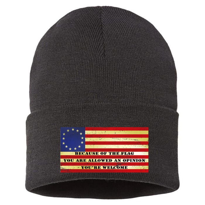 Funny Betsy Ross Original 13 Colony Flag Sustainable Knit Beanie