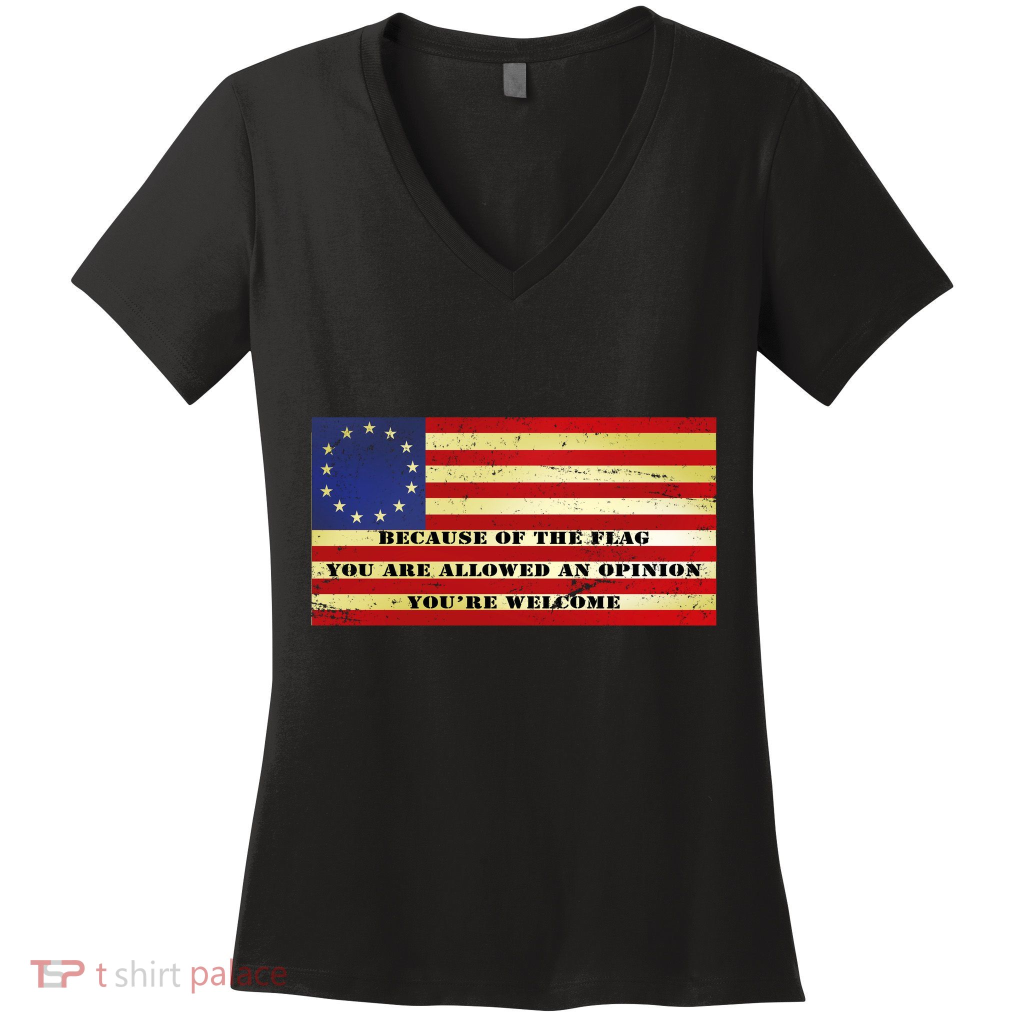 Funny Betsy Ross Original 13 Colony Flag Women's V-Neck T-Shirt