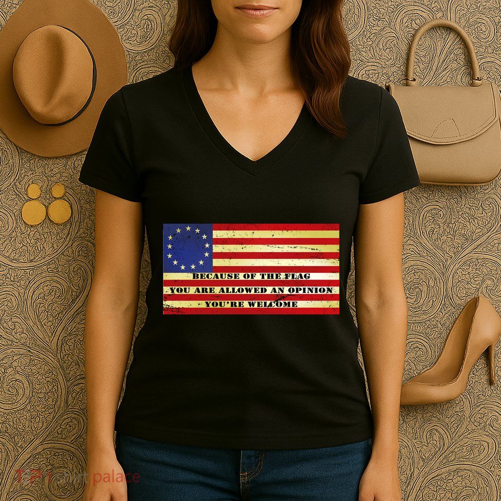 Funny Betsy Ross Original 13 Colony Flag Women's V-Neck T-Shirt
