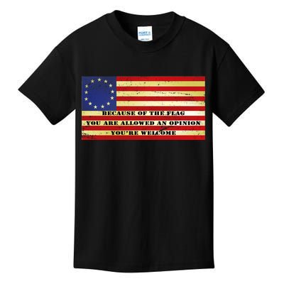 Funny Betsy Ross Original 13 Colony Flag Kids T-Shirt