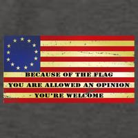 Funny Betsy Ross Original 13 Colony Flag Vector Backpack