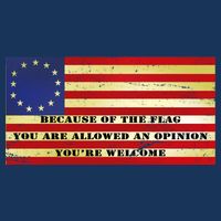 Funny Betsy Ross Original 13 Colony Flag Infant Baby Jersey Bodysuit