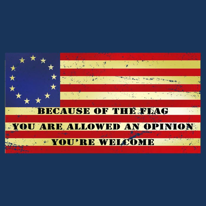 Funny Betsy Ross Original 13 Colony Flag Infant Baby Jersey Bodysuit