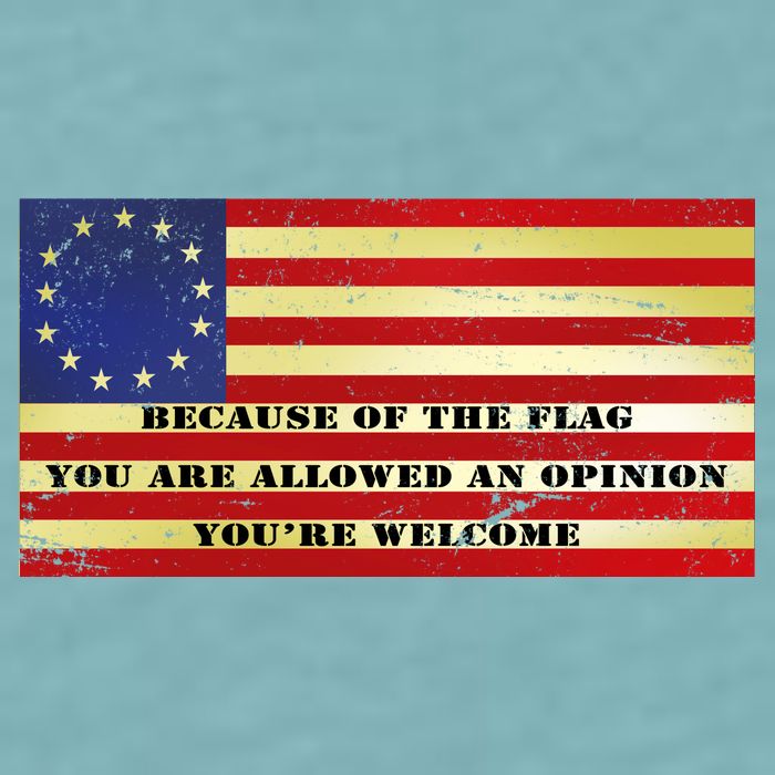 Funny Betsy Ross Original 13 Colony Flag Sueded Cloud Jersey T-Shirt
