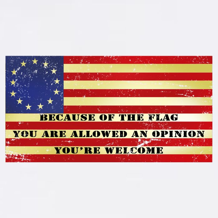 Funny Betsy Ross Original 13 Colony Flag Garment-Dyed Sweatshirt