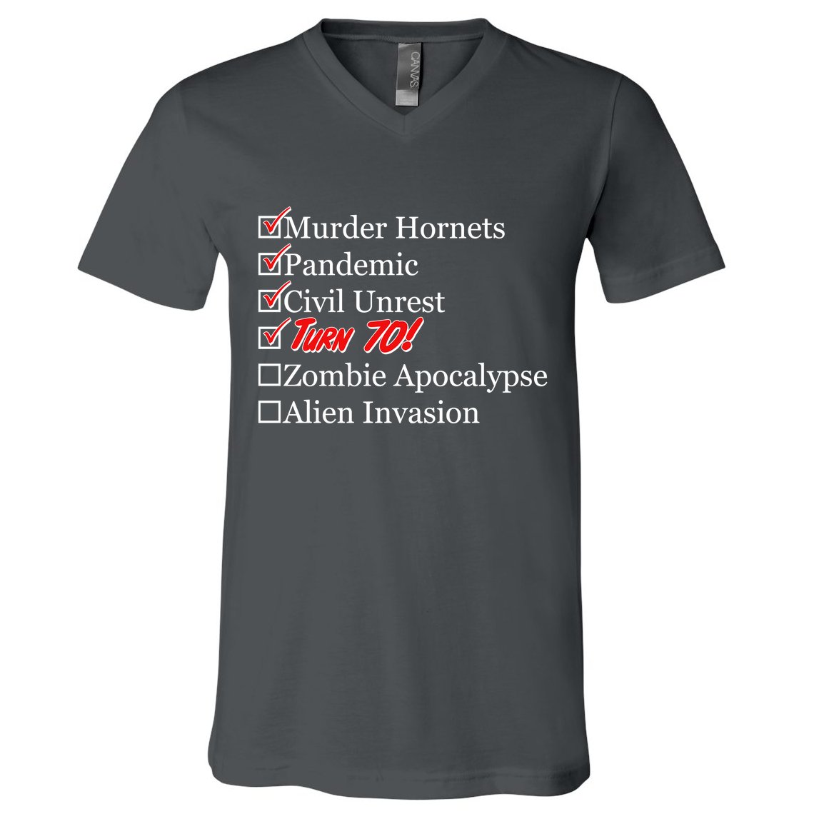 Funny Birthday In Quarantine Checklist 70th Birthday V-Neck T-Shirt