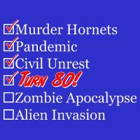 Funny Birthday In Quarantine Checklist 80th Birthday Toddler T-Shirt