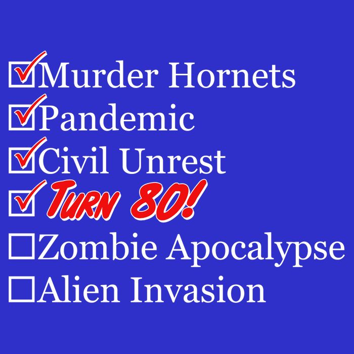 Funny Birthday In Quarantine Checklist 80th Birthday Toddler T-Shirt