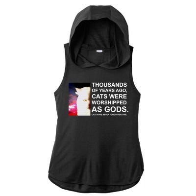 Funny Cat - Fluff You Fluffin Fluff Ladies PosiCharge Tri-Blend Wicking Draft Hoodie Tank