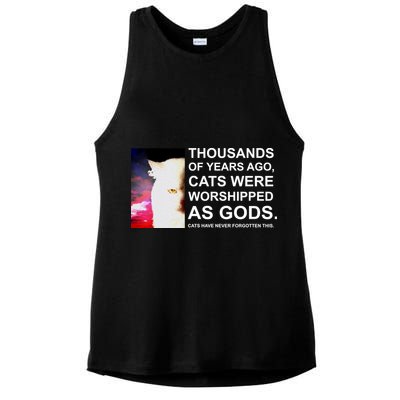 Funny Cat - Fluff You Fluffin Fluff Ladies PosiCharge Tri-Blend Wicking Tank