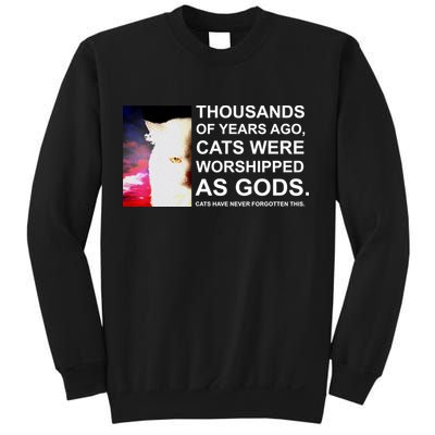 Funny Cat - Fluff You Fluffin Fluff Sweatshirt