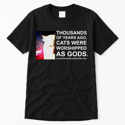 Funny Cat - Fluff You Fluffin Fluff Tall T-Shirt