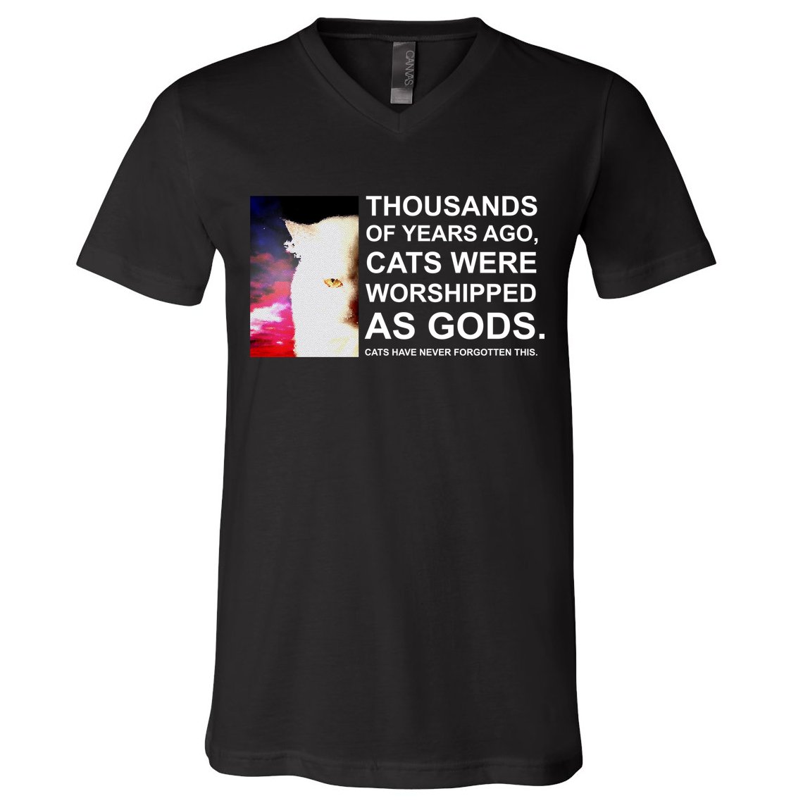 Funny Cat - Fluff You Fluffin Fluff V-Neck T-Shirt