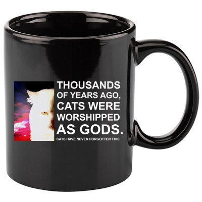 Funny Cat - Fluff You Fluffin Fluff 11oz C Handle Ceramic Mug