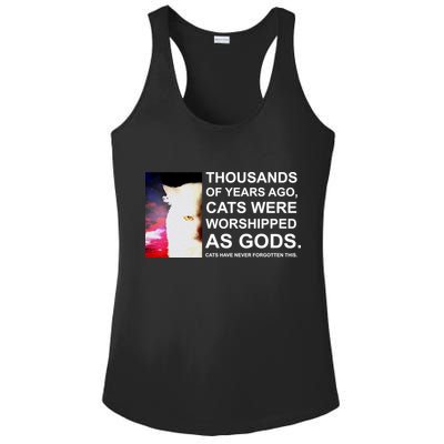 Funny Cat - Fluff You Fluffin Fluff Ladies PosiCharge Competitor Racerback Tank