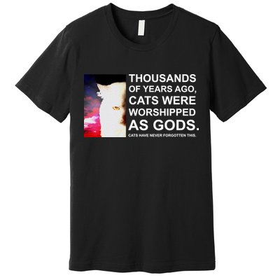 Funny Cat - Fluff You Fluffin Fluff Premium T-Shirt