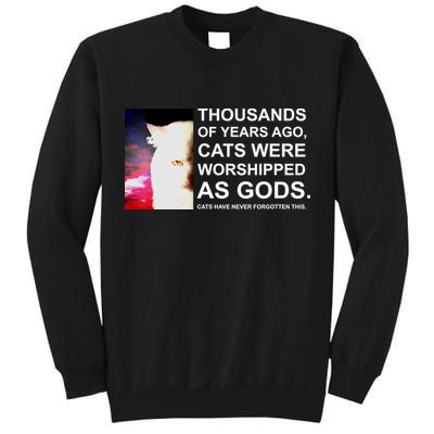 Funny Cat - Fluff You Fluffin Fluff Tall Sweatshirt