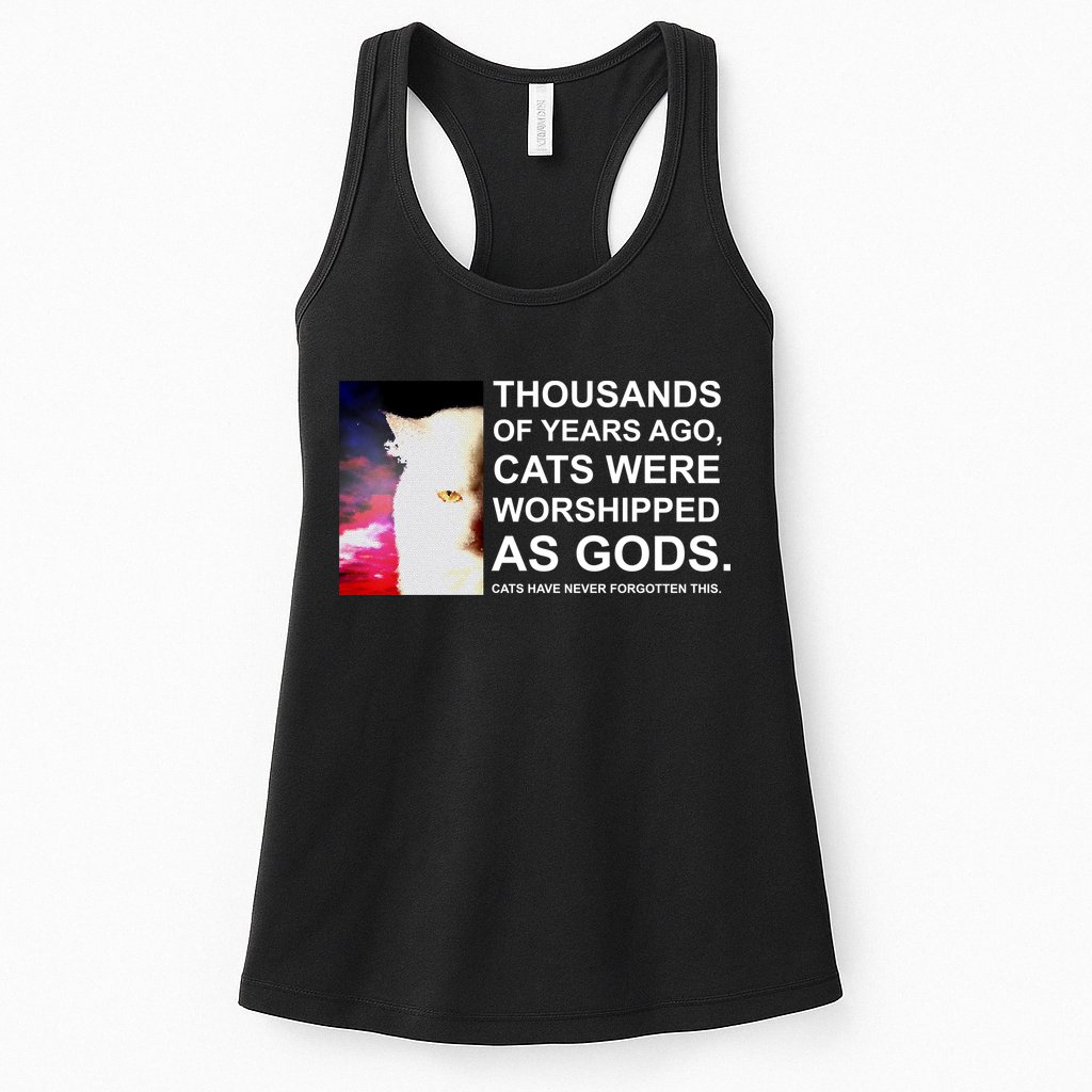 Funny Cat - Fluff You Fluffin Fluff Womens Tank Top