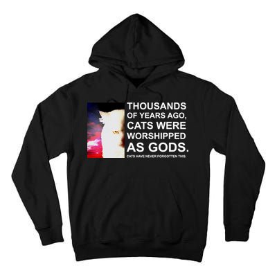 Funny Cat - Fluff You Fluffin Fluff Tall Hoodie