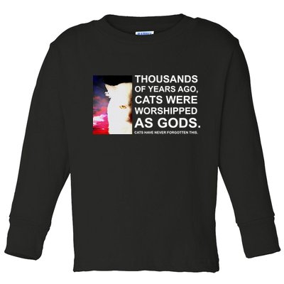 Funny Cat - Fluff You Fluffin Fluff Toddler Long Sleeve Shirt