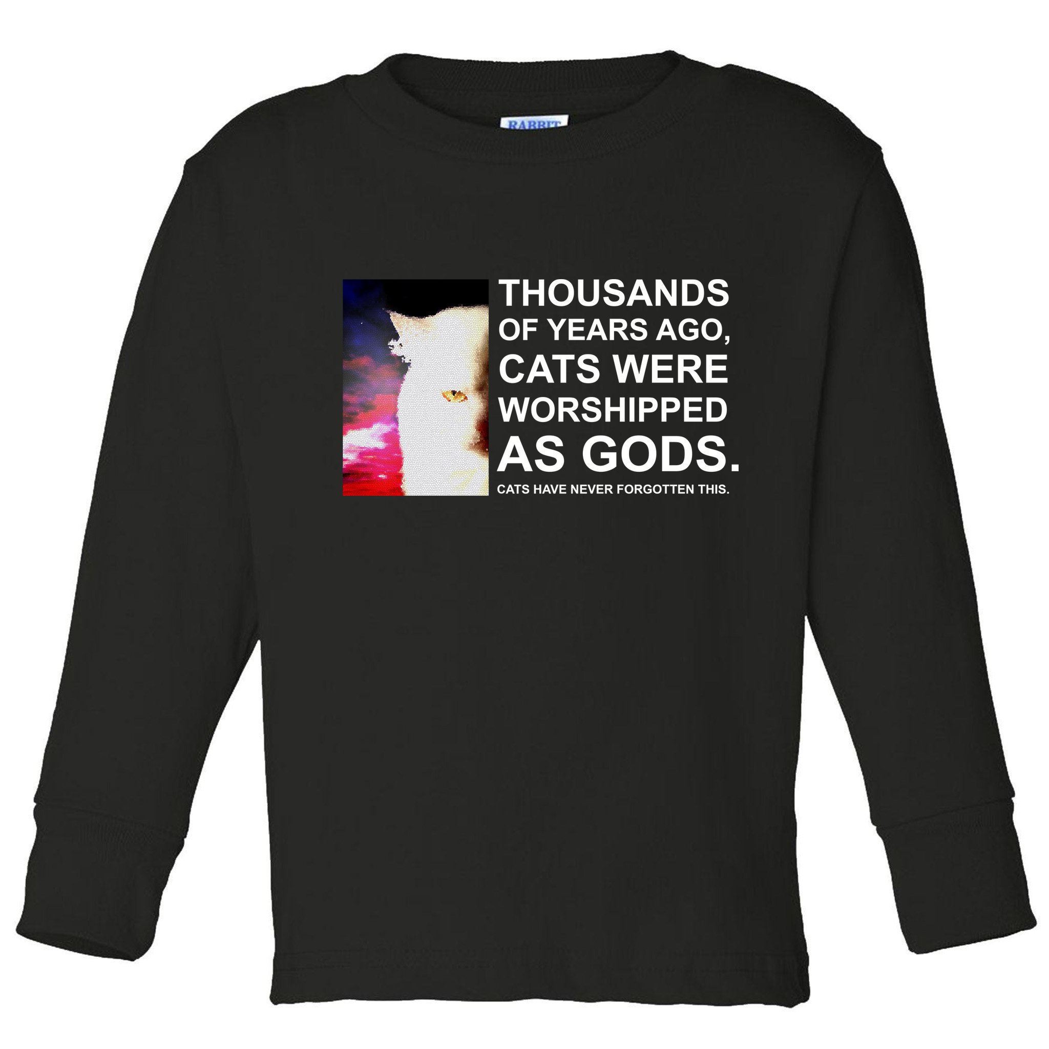 Funny Cat - Fluff You Fluffin Fluff Toddler Long Sleeve Shirt