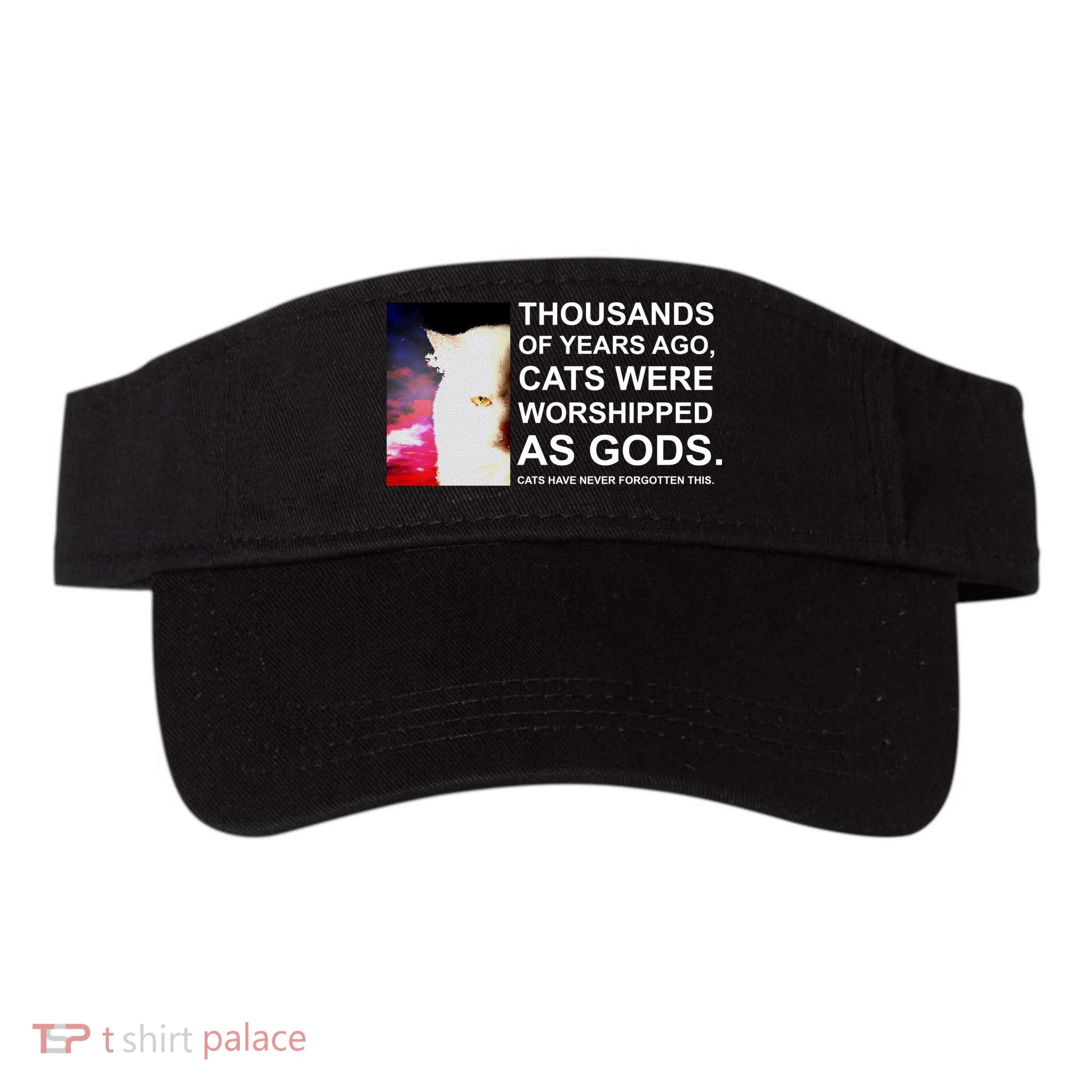 Funny Cat - Fluff You Fluffin Fluff Visor