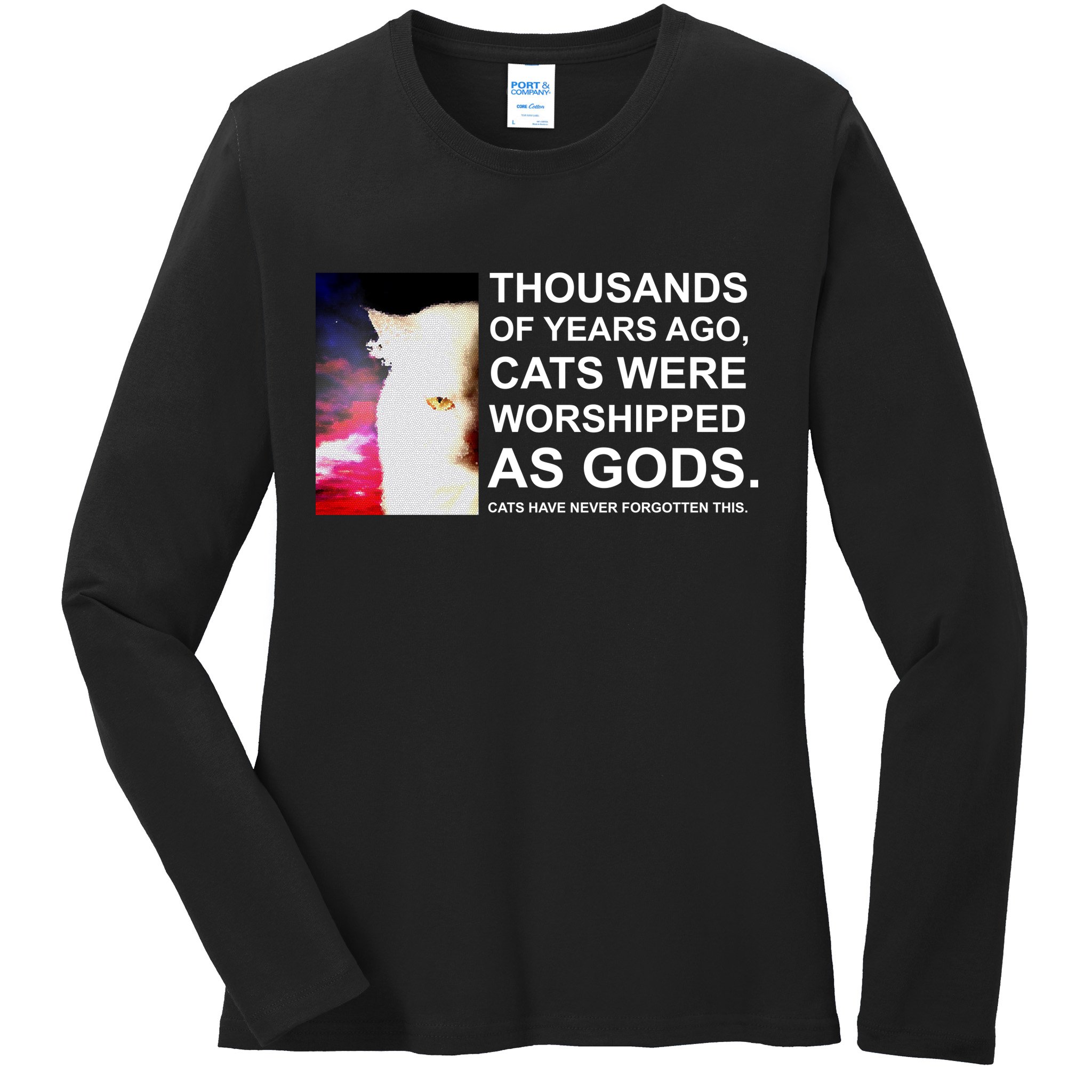 Funny Cat - Fluff You Fluffin Fluff Ladies Long Sleeve Shirt