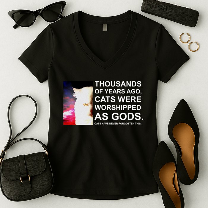 Funny Cat - Fluff You Fluffin Fluff Women's V-Neck T-Shirt