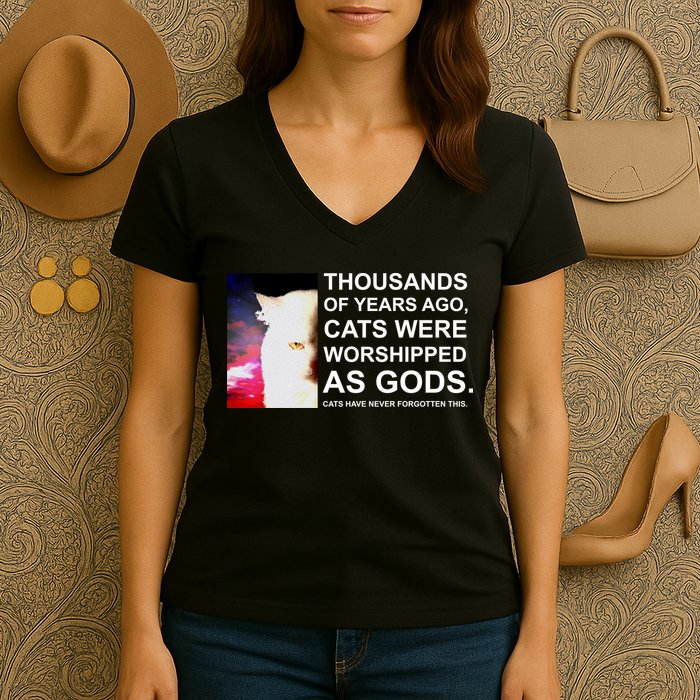 Funny Cat - Fluff You Fluffin Fluff Women's V-Neck T-Shirt