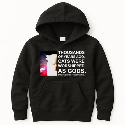 Funny Cat - Fluff You Fluffin Fluff Kids Hoodie