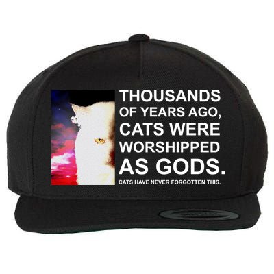 Funny Cat - Fluff You Fluffin Fluff Wool Snapback Cap