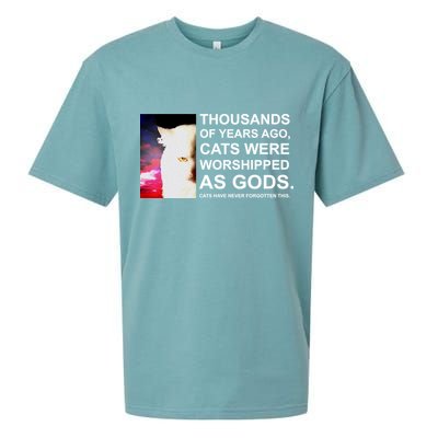 Funny Cat - Fluff You Fluffin Fluff Sueded Cloud Jersey T-Shirt