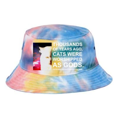 Funny Cat Tie Dye Newport Bucket Hat