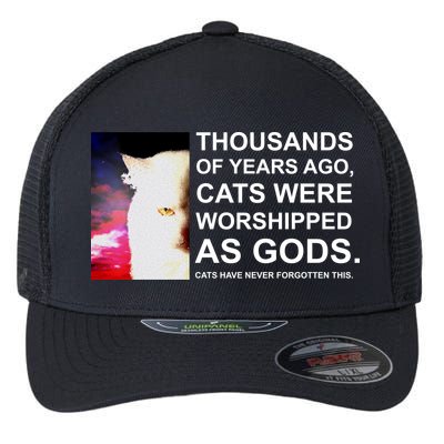 Funny Cat Flexfit Unipanel Trucker Cap