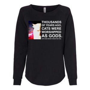 Funny Cat Womens California Wash Sweatshirt