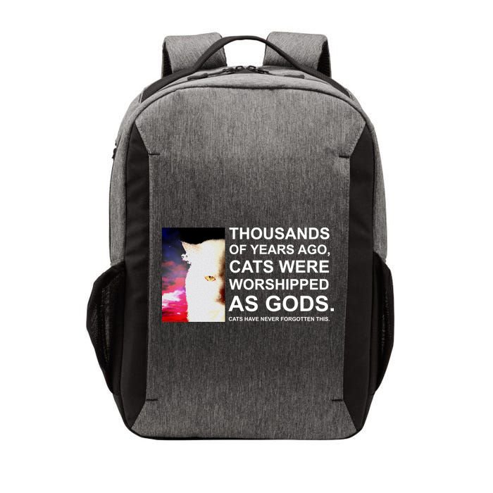 Funny Cat Vector Backpack