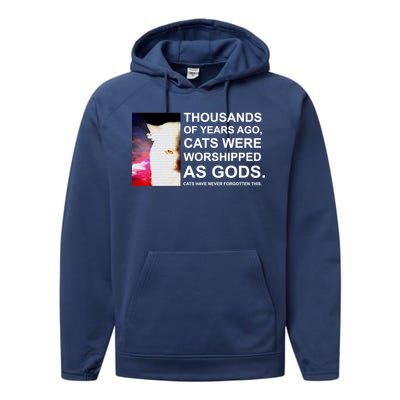 Funny Cat Performance Fleece Hoodie