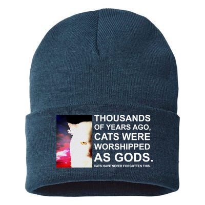 Funny Cat Sustainable Knit Beanie