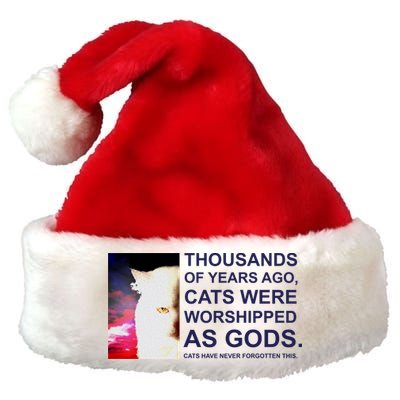 Funny Cat Premium Christmas Santa Hat