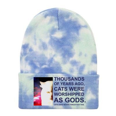 Funny Cat Tie Dye 12in Knit Beanie