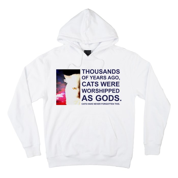 Funny Cat Hoodie