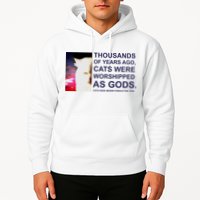 Funny Cat Hoodie