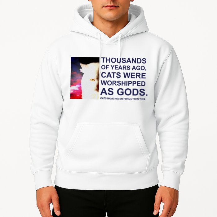 Funny Cat Hoodie