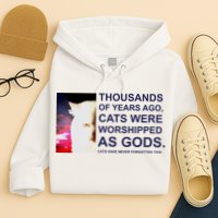 Funny Cat Hoodie