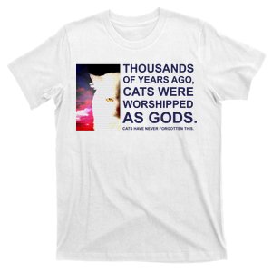 Funny Cat T-Shirt