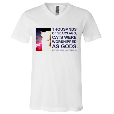 Funny Cat V-Neck T-Shirt