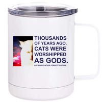 Funny Cat 12 oz Stainless Steel Tumbler Cup