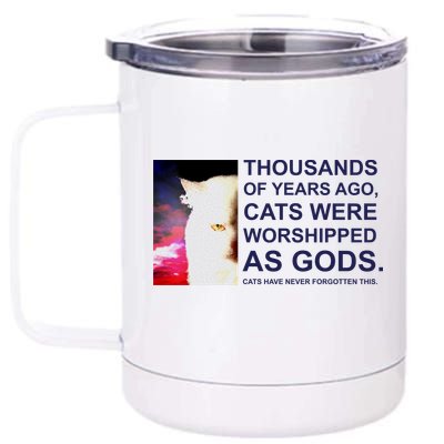 Funny Cat 12 oz Stainless Steel Tumbler Cup