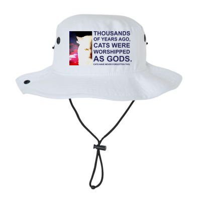 Funny Cat Bucket Hat