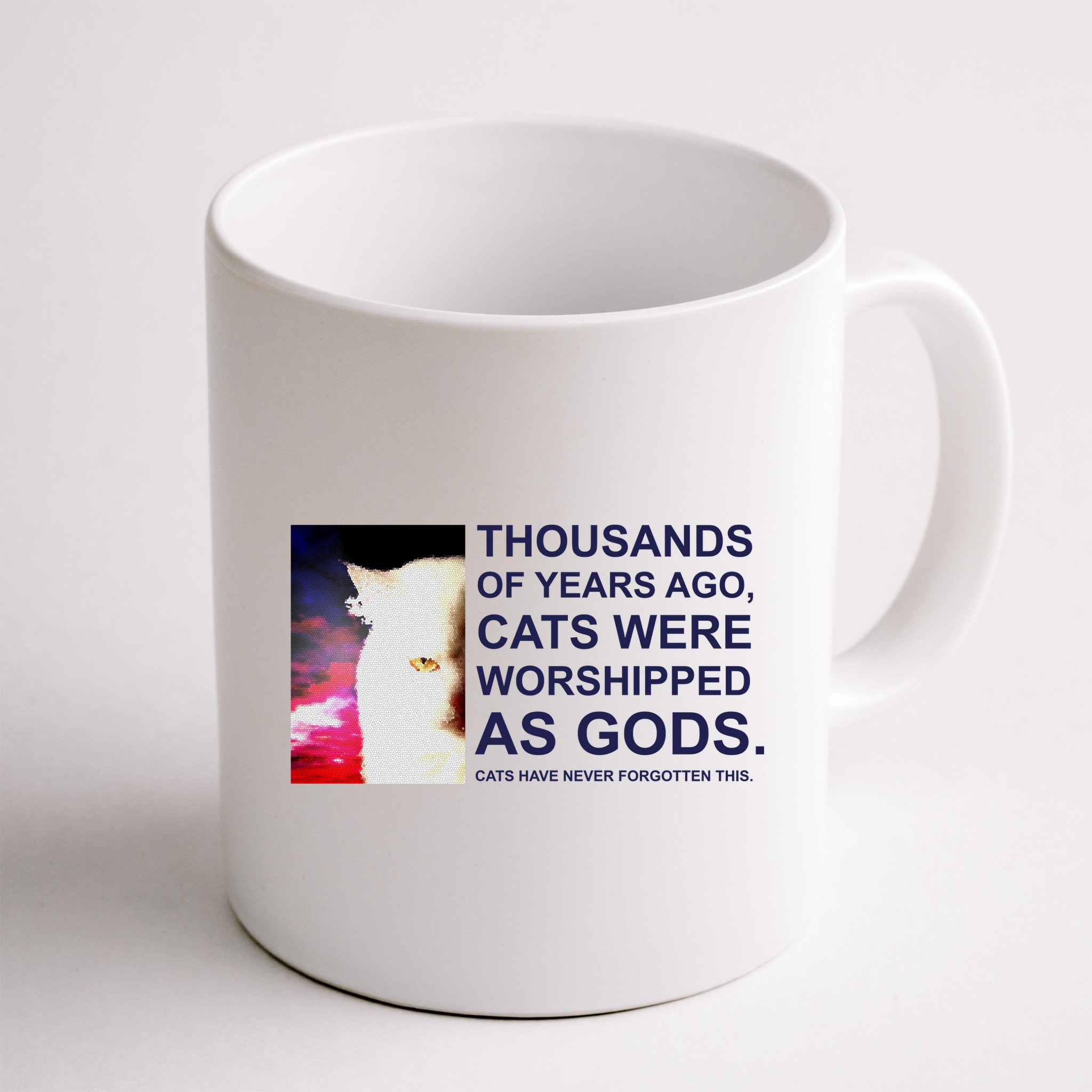 Funny Cat Mug